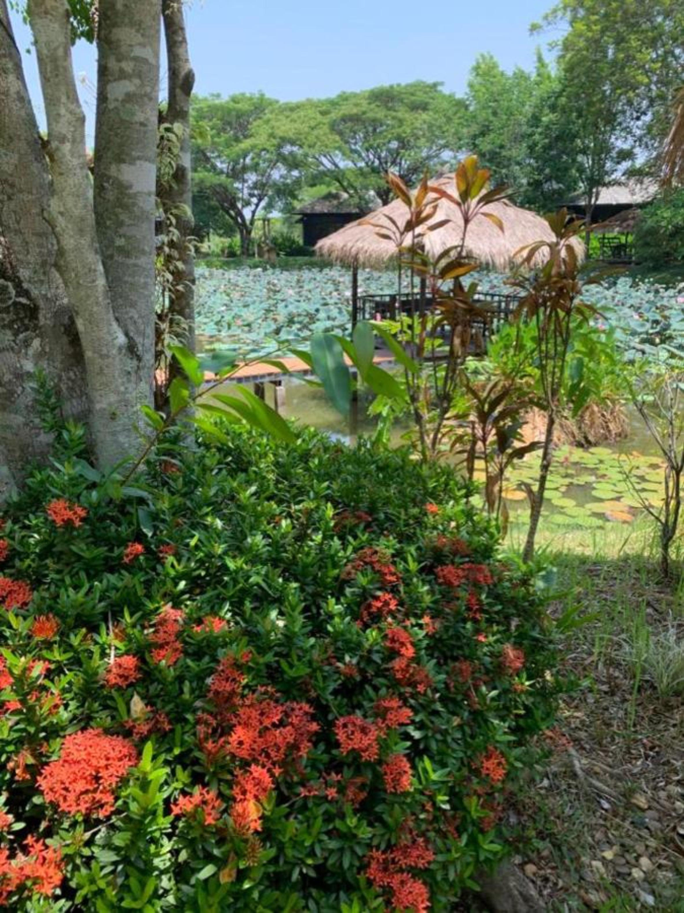 บ้านชายทุ่ง ดอยสะเก็ด ภายนอก รูปภาพ